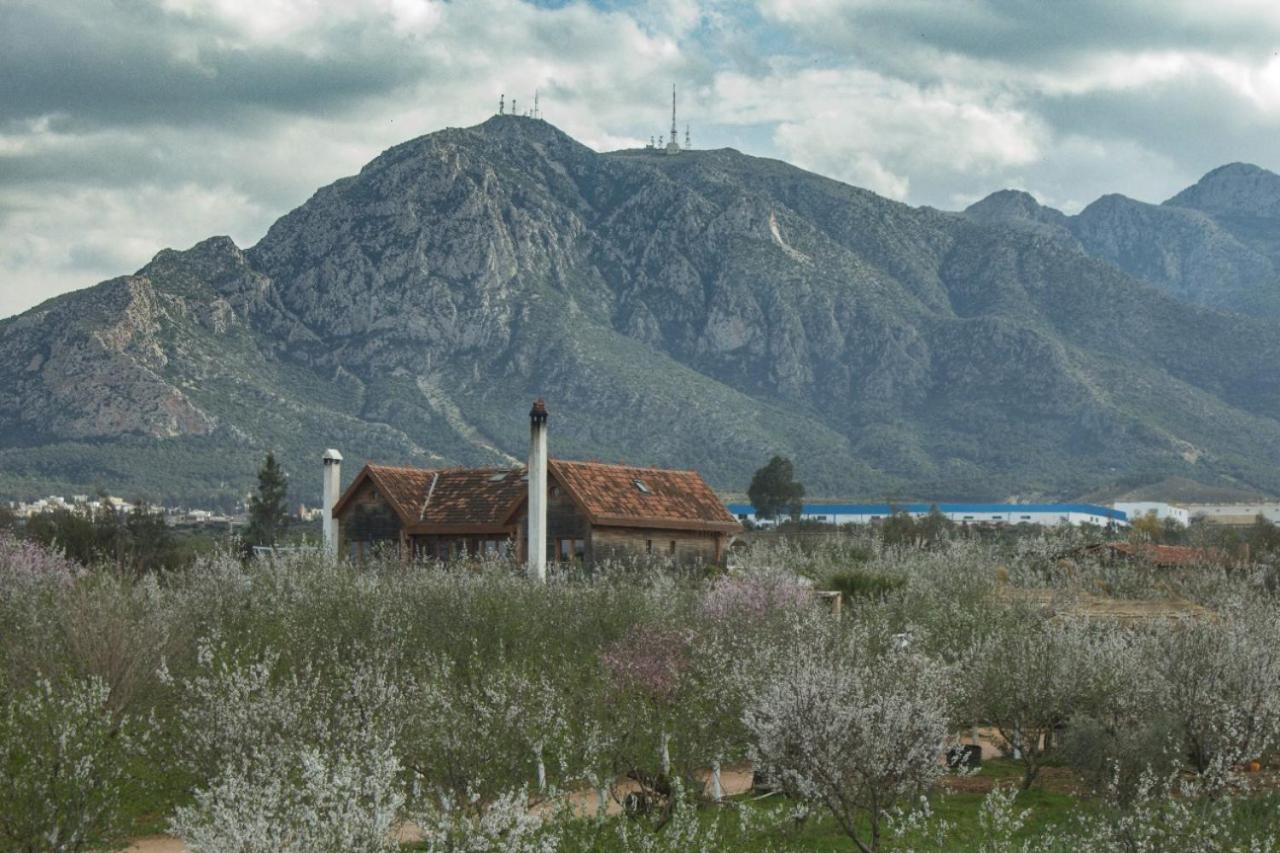 Отель Dar Zaghouan Экстерьер фото